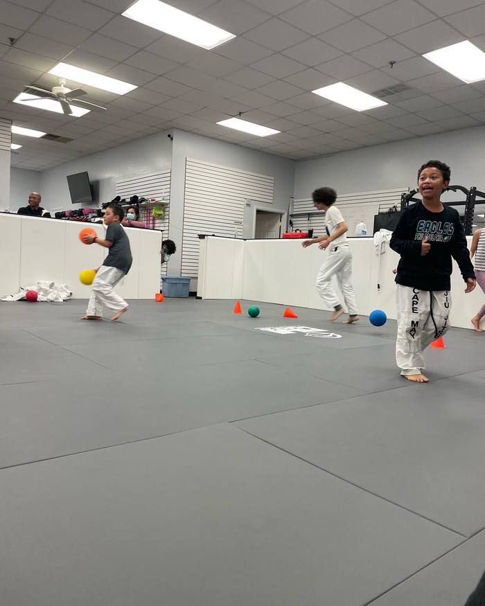 <center>Brazilian Jiu Jitsu Helps Kids Become Physically and Mentally Alert!<center>